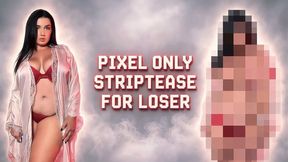Pixel Only Striptease For Loser