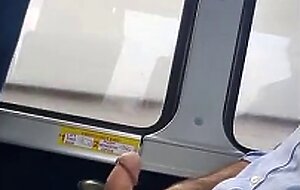Bus Masturbation: Amateur Cum Shot