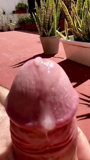 Unforgettable moment from "Terrace, sun, nudity, someone watches me and I masturbate."