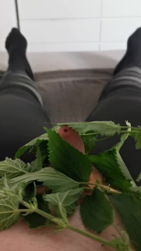 Pampering my little cock with nettle in riding leggings.