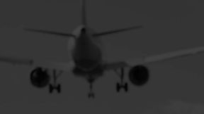 Private Rabbit's Judicial Caning HD