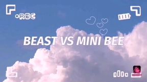black beast cock vs mini bee season1 episode 4