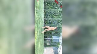 Adventurous Outdoor Sexcapades with Hot Babe Adrianne Chechick