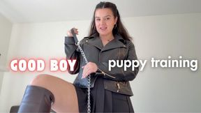 Good Boy Puppy Training copy