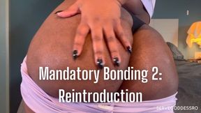 Mandatory Bonding 2: Reintroduction - Royal Ro ebony ass ignore hd mp4 1080p