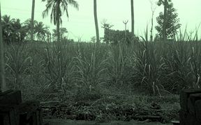 Indian House Wife Boobs Oudoor Sex