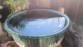 Hot spring open air bath(Japanese beauty girl bathing)