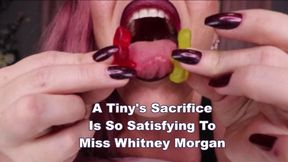 A Tiny's Sacrifice Is So Satisfying To Miss Whitney Morgan - mp4