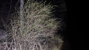 Night Hiking and Remove Most of My Clothes