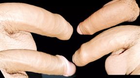 My penis got erect, when the desire came too much I hit my moth but