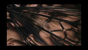 A Machine Sucks Human Cock