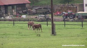 Lucy Seduces the Stable Hand