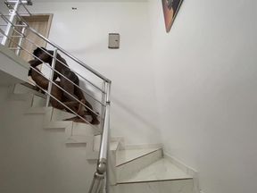 It’s Has Been a While