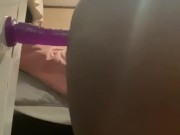 Horny chub
