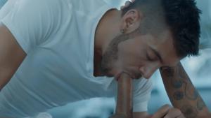 NoirMale.com - Young Dante Colle agrees to good fuck