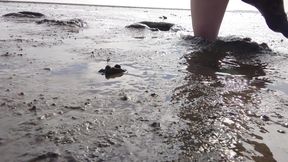 In Fine Stockings in the Wadden Sea of Wangerland
