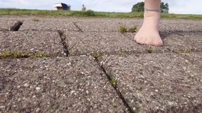 In Fine Stockings in the Wadden Sea of Wangerland