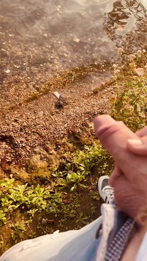 Compilation of Branles and Jutes 5