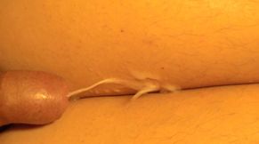 Thick cum erupt between my legs
