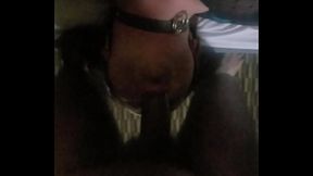 CD slurps Draco Black