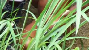 Outdoor Fuck