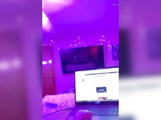 Last Of The StinkBugs For The Night