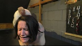 The Studio Files - Supertight Zip-Tie Hogtie for TattoeDMomo - Full Clip wmv