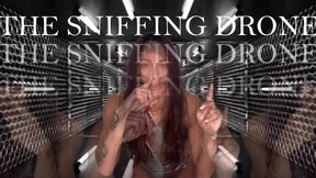 THE SNIFFING DRONE