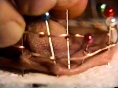 Amateur femdom fetish bitches