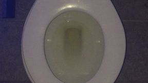 MY FEMALE GOLD PEE