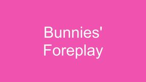 Bunnies' Foreplay Featuring @WAccelronXXX