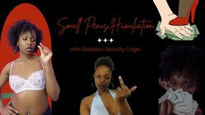 Small Penis Humilation