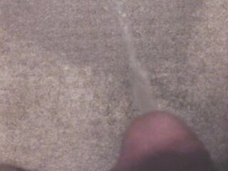 Peeing All Over My Soaking Urinate-Stained Carpet