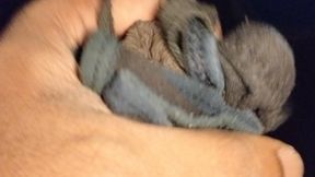 My Best friends hot mom bra jerking on it