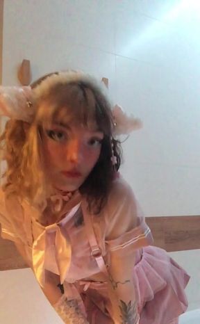 This Time Im the Personification of Innocence a Little Sheep