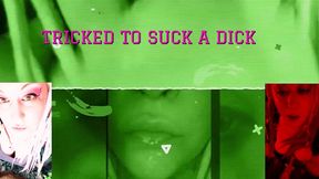 my roomate is a super cute shemale with the biggest dong ever the video by goddess lana