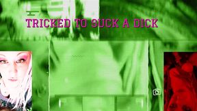 my roomate is a super cute shemale with the biggest dong ever the video by goddess lana