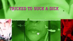 my roomate is a super cute shemale with the biggest dong ever the video by goddess lana