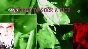 my roomate is a super cute shemale with the biggest dong ever the video by goddess lana