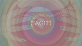 You Love the Cage (Tits)