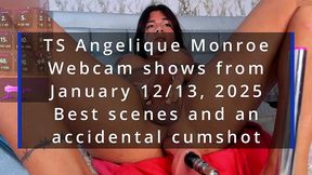 ts angelique monroe - webcam show from january 12 / 13, 2025