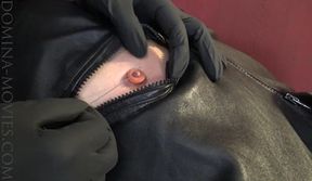 Dr Psycho: Anti Horniness Training - ENTIRE