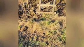 Outdoor Fuck - Public on a Hunterseat !! Fuck Squirt Blowjob Cumshot