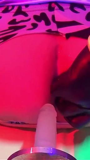 Toypleasurexxx - Zebra Anal Sextoy