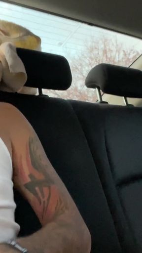 Hot Open Cock Sucking Beat Seat Cum Dump Car Big Cock