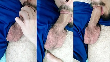 Bezerro Mamando Meu Pau