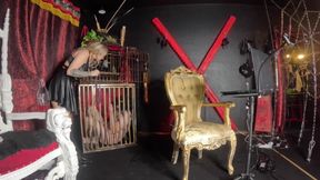 Dein Neues Zuhause Ist Das Kaefig!