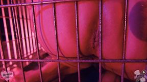 Humiliated Caged Slut Farts POV