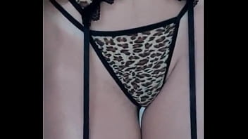 Feline