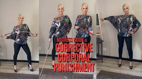 Corrective Corporal Punishment HD (for Windows)